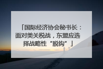 国际经济协会秘书长：面对美关税战，东盟应选择战略性“脱钩”