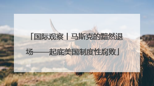国际观察丨马斯克的黯然退场——起底美国制度性腐败