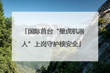 国际首台“壁虎机器人”上岗守护核安全