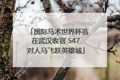 国际马术世界杯赛在武汉收官 547对人马飞跃英雄城