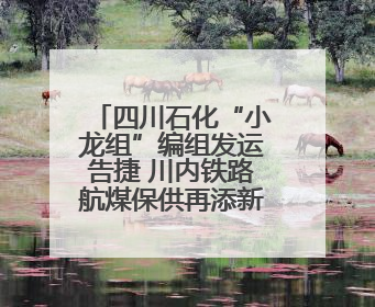 四川石化“小龙组”编组发运告捷 川内铁路航煤保供再添新动能