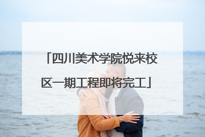 四川美术学院悦来校区一期工程即将完工