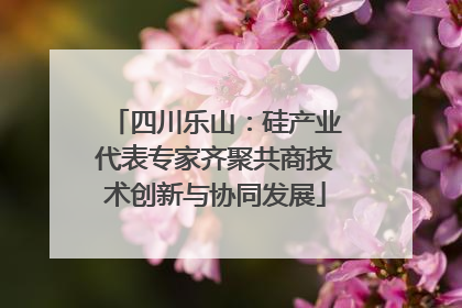 四川乐山：硅产业代表专家齐聚共商技术创新与协同发展