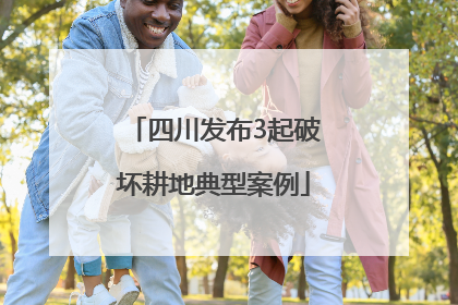 四川发布3起破坏耕地典型案例