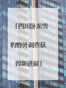 四川卧龙雪豹野外调查获得新进展