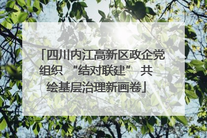 四川内江高新区政企党组织 “结对联建” 共绘基层治理新画卷