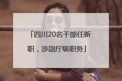 四川20名干部任新职，涉副厅级职务