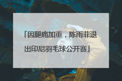 因腿痛加重，陈雨菲退出印尼羽毛球公开赛