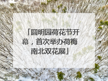 圆明园荷花节开幕，首次举办荷梅南北双花展