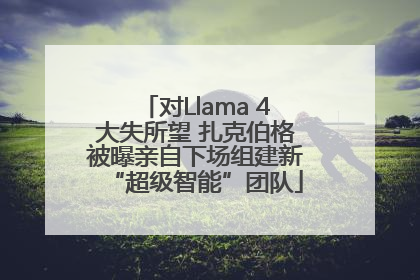 对Llama 4大失所望 扎克伯格被曝亲自下场组建新“超级智能”团队