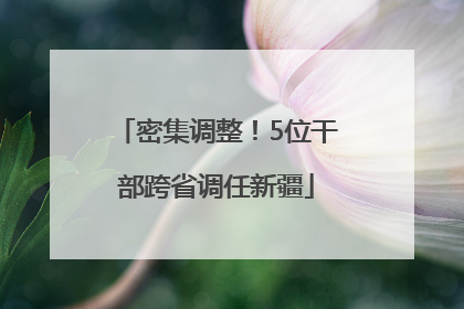 密集调整！5位干部跨省调任新疆