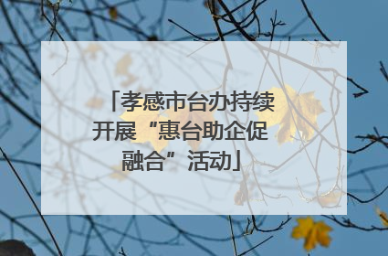孝感市台办持续开展“惠台助企促融合”活动