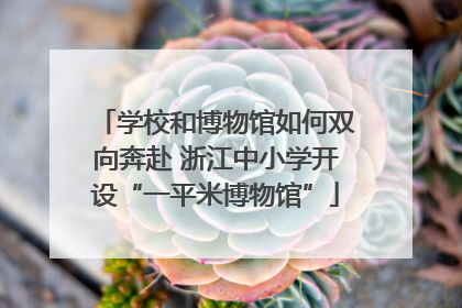 学校和博物馆如何双向奔赴 浙江中小学开设“一平米博物馆”