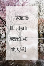 家底摸排，崂山成野生动物天堂