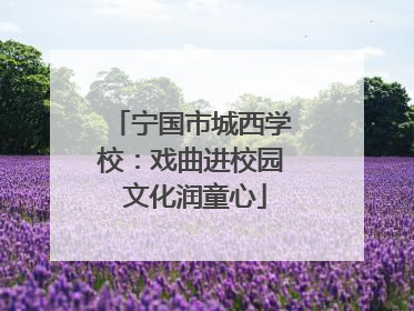 宁国市城西学校：戏曲进校园 文化润童心