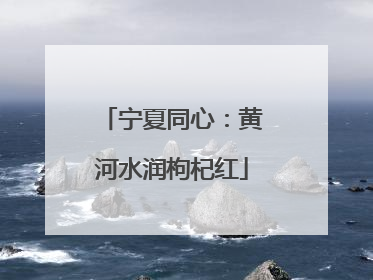宁夏同心：黄河水润枸杞红