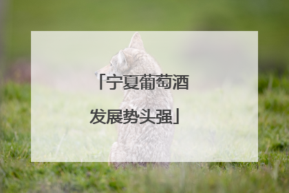 宁夏葡萄酒发展势头强