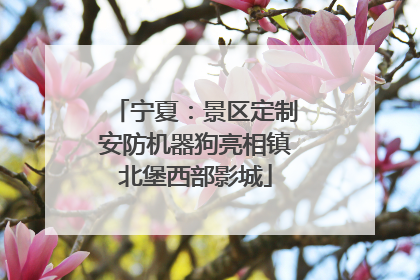 宁夏：景区定制安防机器狗亮相镇北堡西部影城