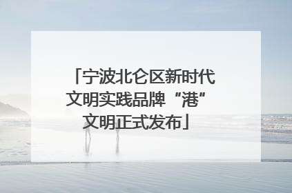 宁波北仑区新时代文明实践品牌“港”文明正式发布