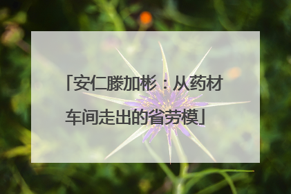 安仁滕加彬：从药材车间走出的省劳模