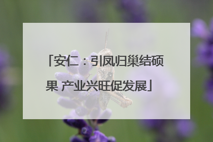 安仁：引凤归巢结硕果 产业兴旺促发展