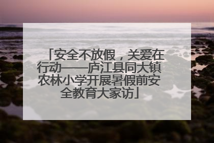 安全不放假，关爱在行动——庐江县同大镇农林小学开展暑假前安全教育大家访