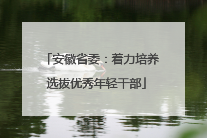 安徽省委：着力培养选拔优秀年轻干部