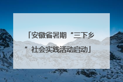 安徽省暑期“三下乡”社会实践活动启动