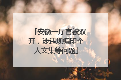 安徽一厅官被双开，涉违规编印个人文集等问题