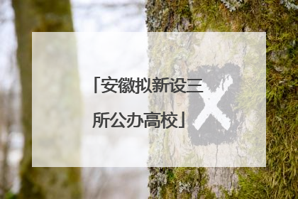 安徽拟新设三所公办高校