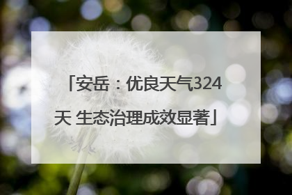 安岳：优良天气324天 生态治理成效显著