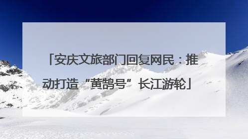 安庆文旅部门回复网民：推动打造“黄鹄号”长江游轮