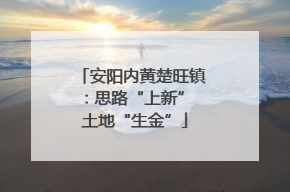 安阳内黄楚旺镇：思路“上新” 土地“生金”