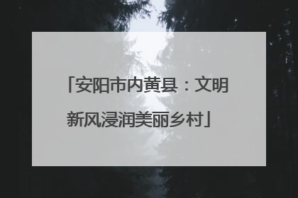 安阳市内黄县：文明新风浸润美丽乡村