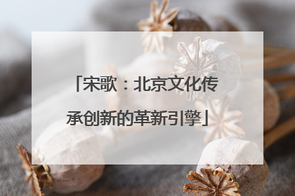 宋歌：北京文化传承创新的革新引擎