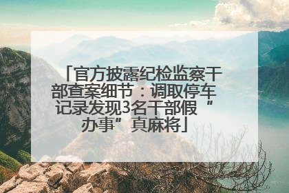 官方披露纪检监察干部查案细节：调取停车记录发现3名干部假“办事”真麻将