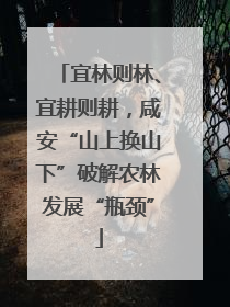 宜林则林、宜耕则耕，咸安“山上换山下”破解农林发展“瓶颈”