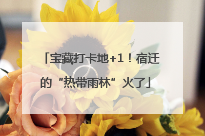 宝藏打卡地+1！宿迁的“热带雨林”火了