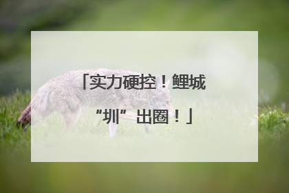 实力硬控！鲤城“圳”出圈！