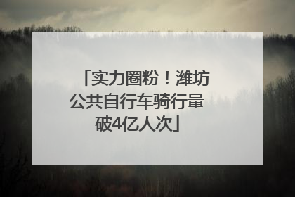 实力圈粉！潍坊公共自行车骑行量破4亿人次