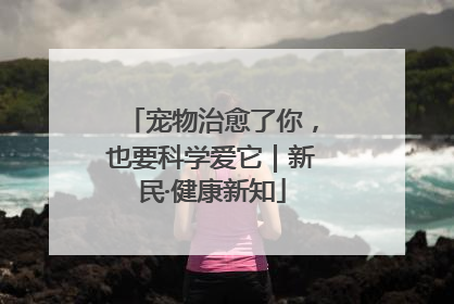 宠物治愈了你，也要科学爱它｜新民·健康新知