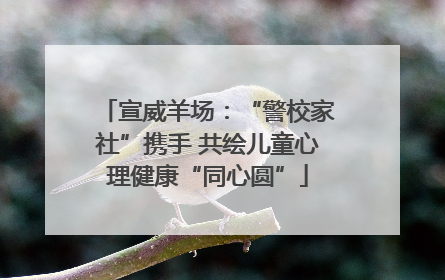 宣威羊场：“警校家社”携手 共绘儿童心理健康“同心圆”