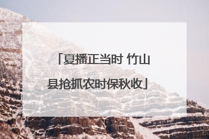夏播正当时 竹山县抢抓农时保秋收