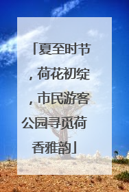 夏至时节，荷花初绽，市民游客公园寻觅荷香雅韵
