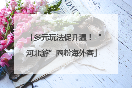 多元玩法促升温！“河北游”圈粉海外客