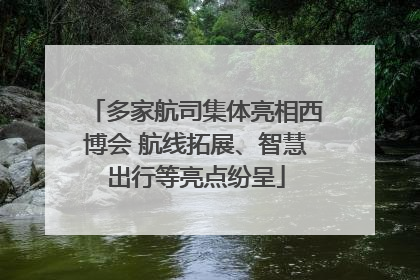 多家航司集体亮相西博会 航线拓展、智慧出行等亮点纷呈