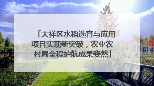 大祥区水稻选育与应用项目实现新突破，农业农村局全程护航成果斐然