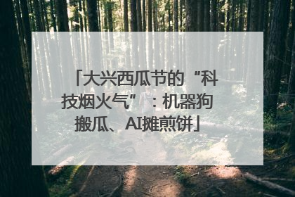 大兴西瓜节的“科技烟火气”：机器狗搬瓜、AI摊煎饼