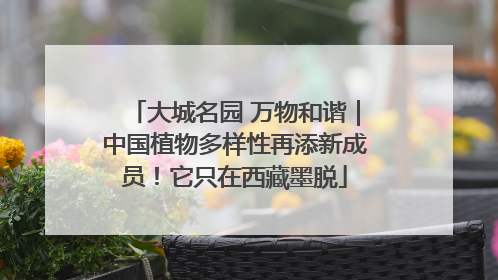 大城名园 万物和谐｜中国植物多样性再添新成员！它只在西藏墨脱