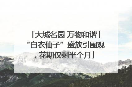 大城名园 万物和谐│“白衣仙子”盛放引围观，花期仅剩半个月